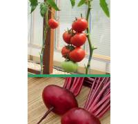 Томат Японский краб - 20 шт | Свекла Египетская плоская - 2 гр