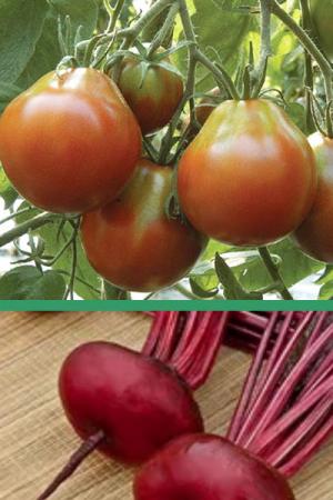 Томат Японский трюфель черный - 0.2 гр | Свекла Египетская плоская - 2 гр