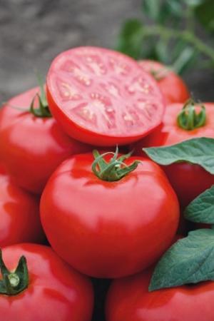 Томаты Томск F1