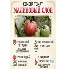 Томат Малиновый слон