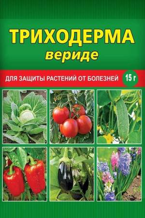 Триходерма Вериде