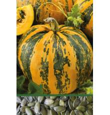 Тыква голосемянная Юнона