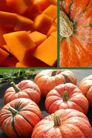 Тыква Конфетка