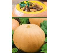 Тыква Тещин пирог
