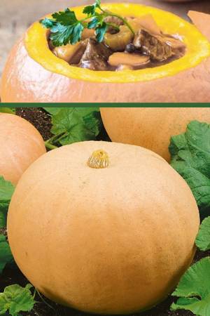 Тыква Тещин пирог