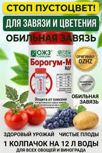 Органоминеральное удобрение Борогум-М 0.2л