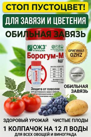 Удобрение Борогум-М 0.2л
