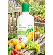 Янтарин - природный регулятор роста, 100 мл