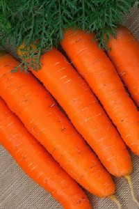 Морковь Детская сладость 1.5 гр
