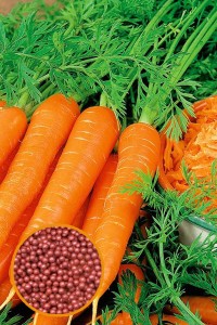 Морковь Карамелька драже 300 шт