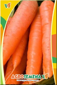 Морковь Каротан-2 гр