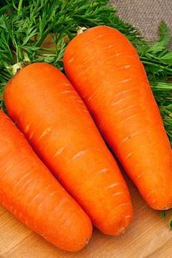 Морковь Королева осени 6 гр